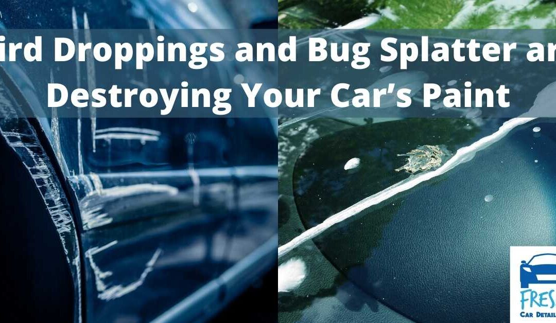 Bird Droppings and Bug Splatter are Destroying Your Car’s Paint
