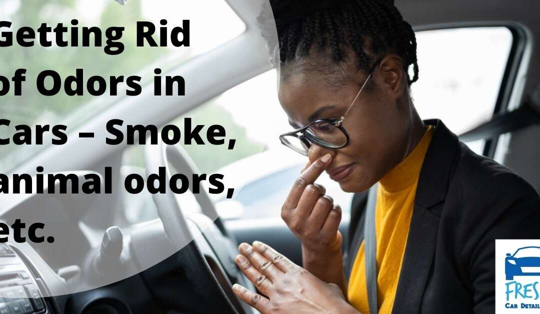 Getting Rid of Odors in Cars – Smoke animal odors etc